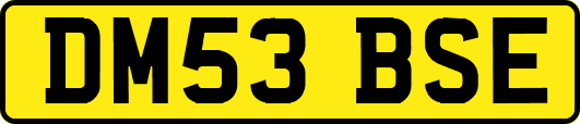 DM53BSE