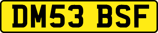 DM53BSF