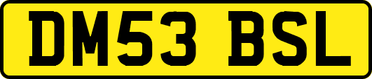 DM53BSL