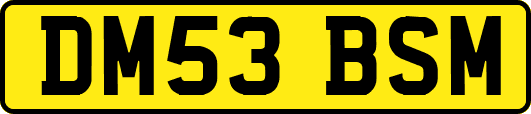 DM53BSM