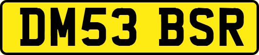 DM53BSR