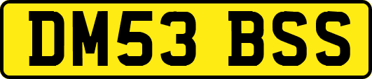 DM53BSS