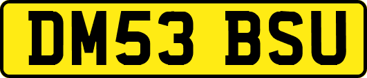 DM53BSU