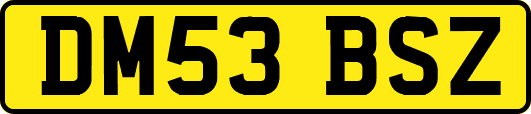 DM53BSZ