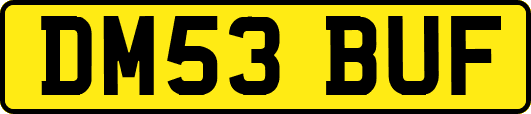 DM53BUF