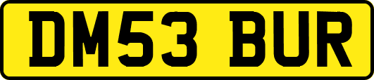 DM53BUR