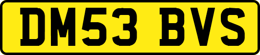 DM53BVS