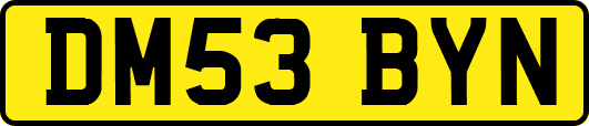 DM53BYN