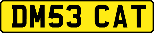 DM53CAT