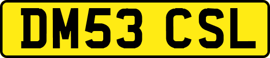 DM53CSL