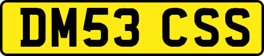 DM53CSS