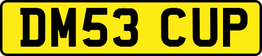 DM53CUP