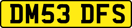 DM53DFS