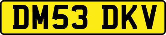 DM53DKV