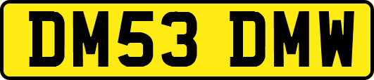DM53DMW