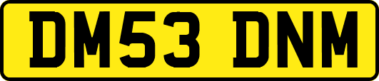 DM53DNM