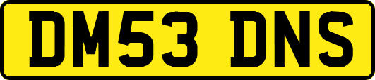 DM53DNS