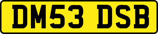DM53DSB