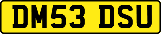 DM53DSU