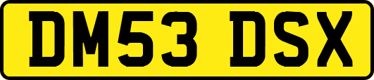 DM53DSX