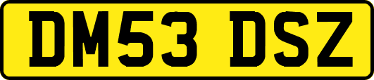 DM53DSZ