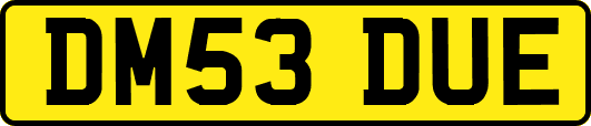 DM53DUE