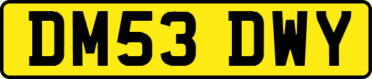 DM53DWY