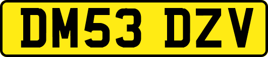 DM53DZV