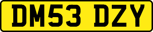 DM53DZY