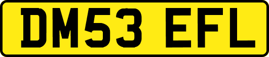 DM53EFL