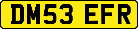 DM53EFR