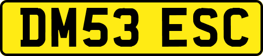 DM53ESC