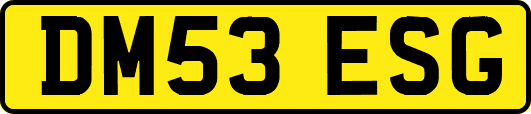 DM53ESG