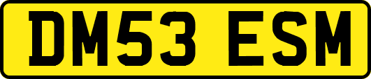 DM53ESM