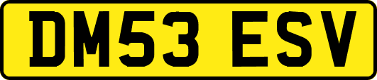 DM53ESV
