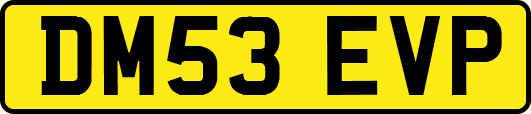 DM53EVP
