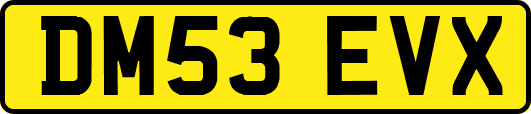 DM53EVX