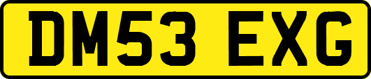 DM53EXG