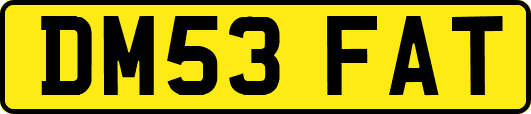 DM53FAT