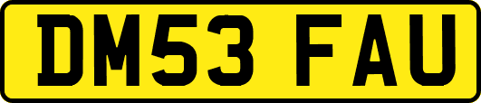 DM53FAU