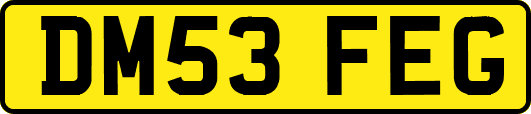 DM53FEG