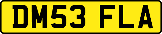 DM53FLA