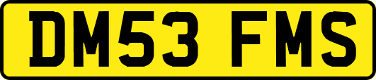 DM53FMS