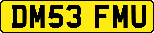 DM53FMU