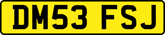 DM53FSJ