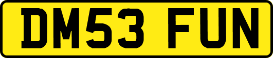 DM53FUN