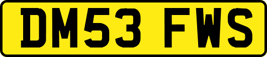 DM53FWS