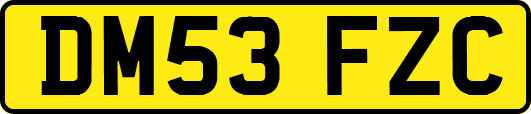 DM53FZC