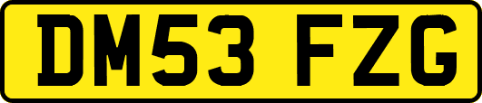 DM53FZG