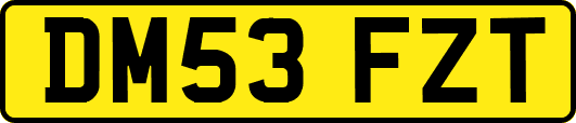 DM53FZT